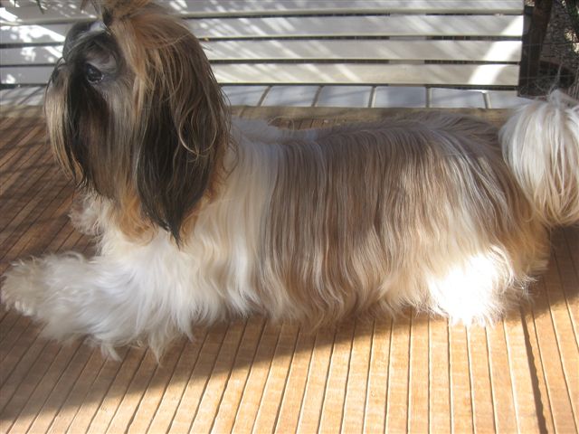 Calvin klein de lou pitchoun des cabotins
