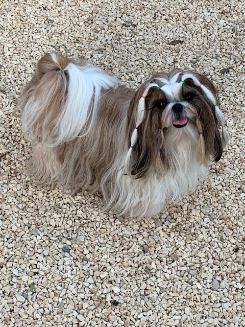 Miss dior de lou pitchoun des cabotins